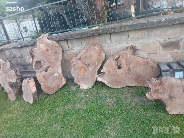 шайби от изсъхнал орех , снимка 4 - Декорация за дома - 50315436