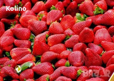 Сироп от ягоди 0,5л концентрат, снимка 2 - Домашни продукти - 50812263