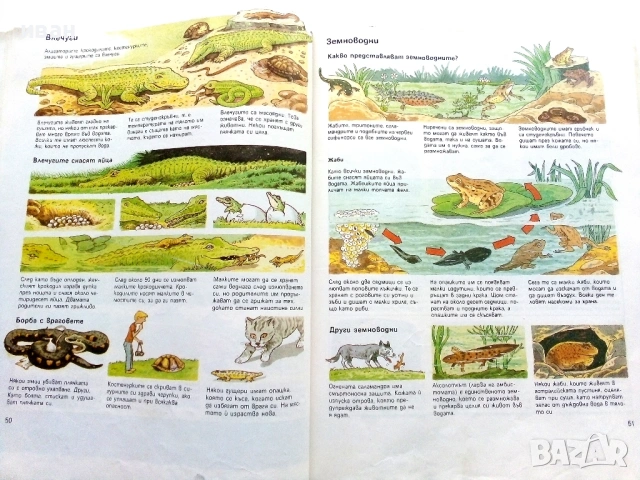Детска Енциклопедия - Джейн Елиът,Колин Кинг - 1990г., снимка 8 - Енциклопедии, справочници - 53110656