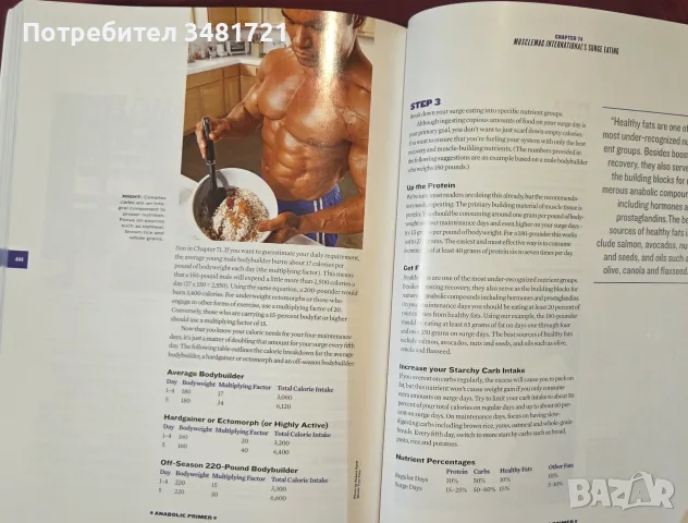 Anabolic Primer. Ergogenic Enhancement for the Hardcore Bodybuilder., снимка 13 - Здраве, медицина и спорт - 55964387