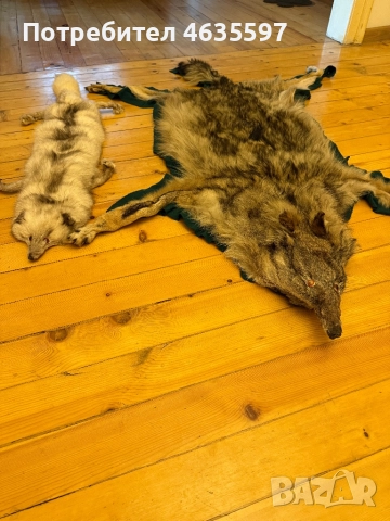 Кожа от вълк и шал,яка от лисица, снимка 3 - Арт сувенири - 52212264