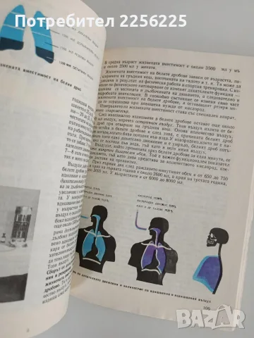 Анатомия и физиология на човека, снимка 8 - Специализирана литература - 56162969