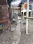 Пауни големи и малки, снимка 3
