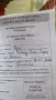 Кавалер Кинг Чарлз, снимка 2