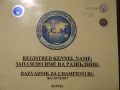 продавам РОДОСЛОВИЕ, Медали, Купи за различни породи кучета.. Вече не развъждам кучета и родословият, снимка 3