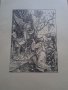 Литография Албрехт Дюрер в рамки с воден знак, снимка 18