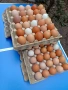 Домашни айца от свободни кокошки , снимка 2