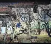 Тухлена къща с голям двор в село Борислав на 30 км от град Плевен, снимка 4