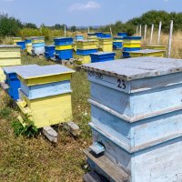 Натурален пчелен мед букет реколта 2023, снимка 4 - Пчелни продукти - 41571904