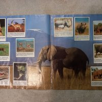 Албум стикери - Животните по света -Animals of the world 1989 from Panini, снимка 10 - Други - 38717419