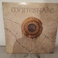 Whitesnake – Whitesnake Carrere – 66443, снимка 1 - Грамофонни плочи - 42425352