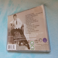 Rod Stewart - The Great American Songbook, снимка 3 - CD дискове - 44827281