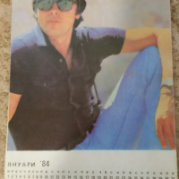 Настолно календарче 1984г. с 12 снимки на Ален Делон, снимка 1 - Колекции - 44579953