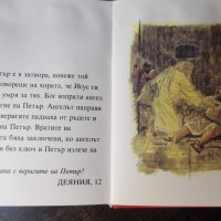 Книга"Моята Първа Библия в картинки-Кеннет Н.Тейлър"-160стр., снимка 5 - Специализирана литература - 35775524