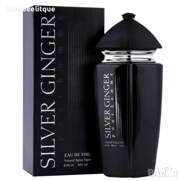 Парфюм Silver Ginger by BN, U n i s e x, Eau de toilette 100ml, снимка 1
