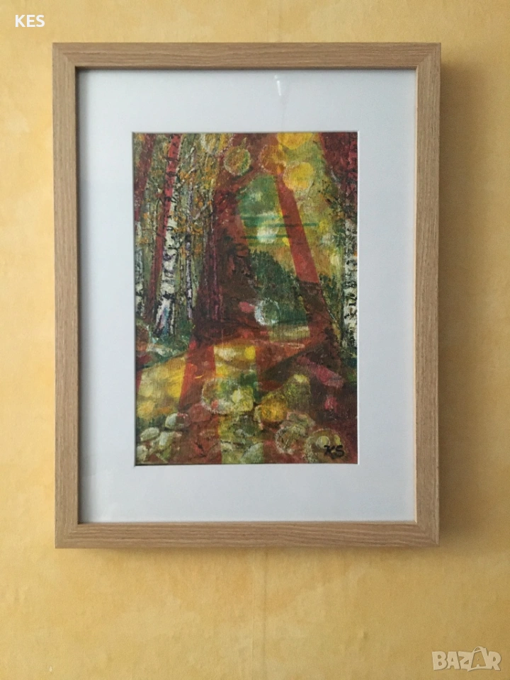 Витоша-Морените със слънчеви зайци, снимка 1