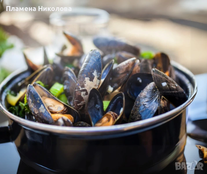 Емайлирана тенджера за миди 5 л, Ø22 см, за индукционни котлони, снимка 1