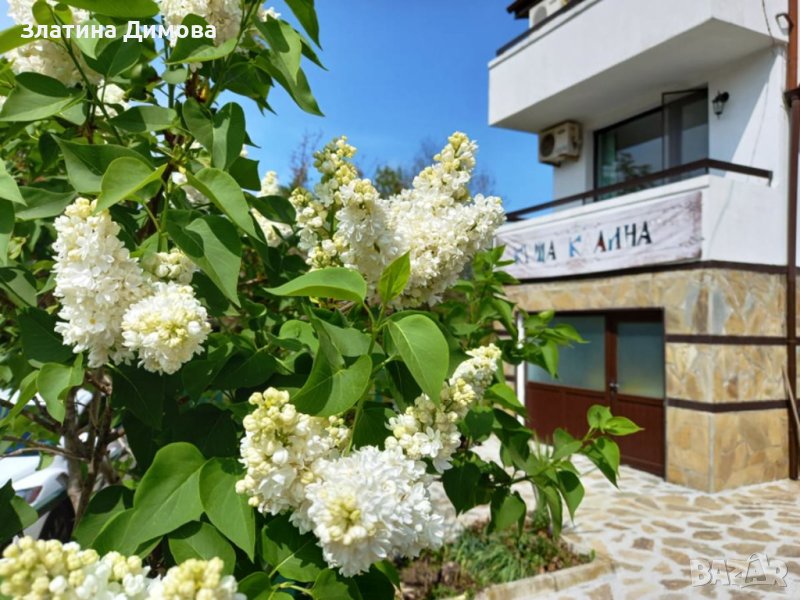 Почивка във ВИЛА "КАЛИНА", с.Велика, снимка 1