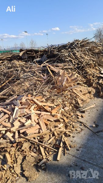 Сухи Букови изрезки - разпалки, снимка 1