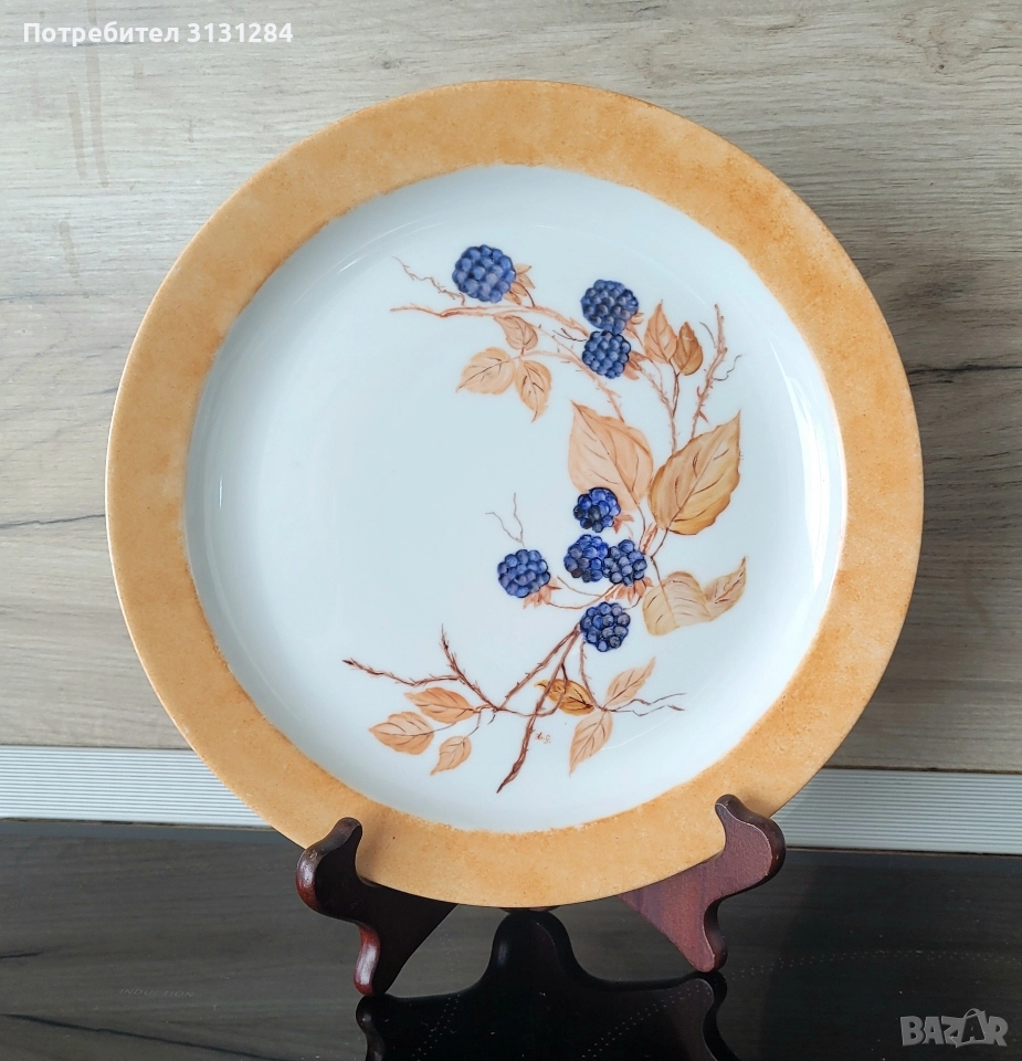 Seiltmann Weiden рьчно рисувана чиния Германия Бавария, снимка 1