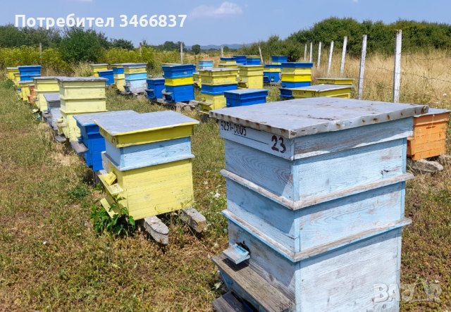 Натурален пчелен мед букет реколта 2023, снимка 4 - Пчелни продукти - 41571904
