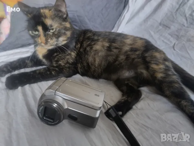 Дигитална камера Panasonic SDR-S150, снимка 4 - Камери - 47325884