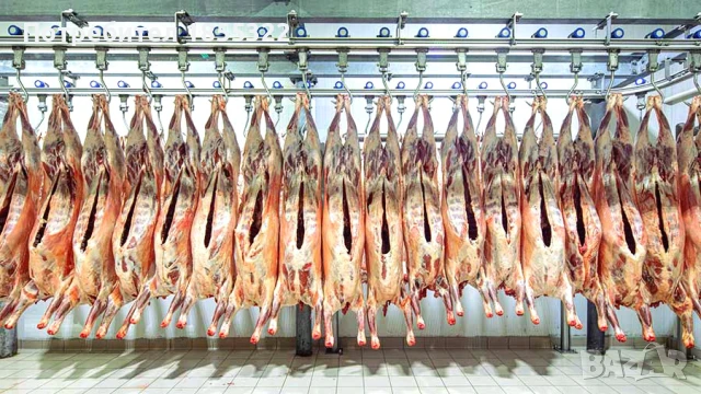 Работа във Великобритания , снимка 5 - Работа в Англия - 51430760