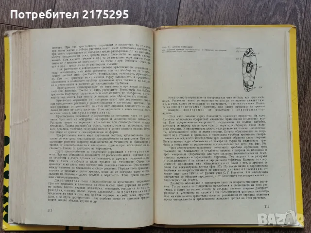 Ботаника - Земиздат -Г.Георгиев, 1973г., снимка 9 - Учебници, учебни тетрадки - 56225154