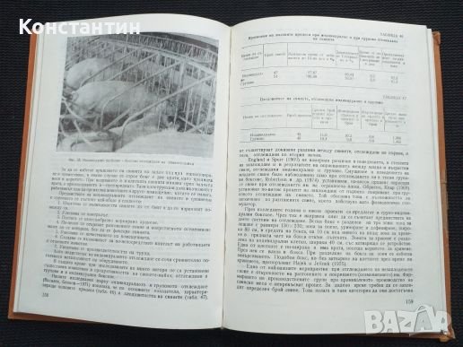 Промишлено свиневъдство, снимка 2 - Специализирана литература - 40821398