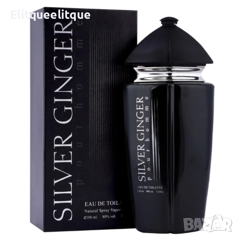Парфюм Silver Ginger by BN, U n i s e x, Eau de toilette 100ml