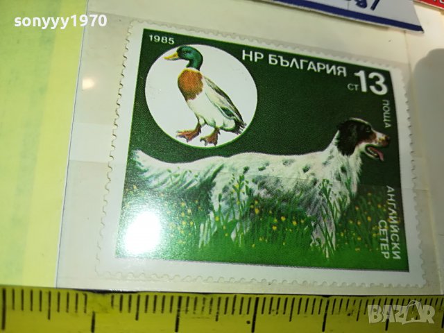 МАРКА 4 НРБ 1985 АНГЛИЙСКИ СЕТЕР 1203231608, снимка 11 - Филателия - 39972745