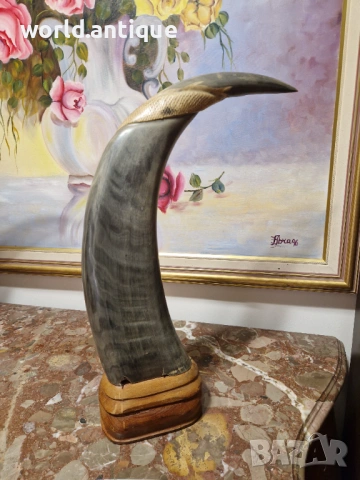 Чифт страхотни антикварни рогове ръчно гравирани , снимка 6 - Антикварни и старинни предмети - 53139393