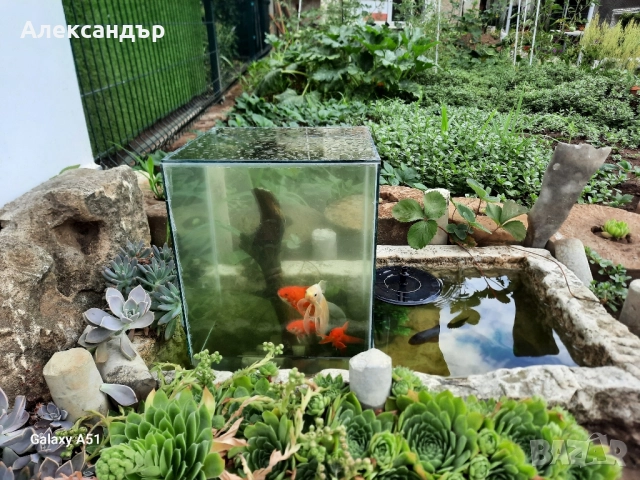 Къща от собственик с гараж, снимка 14 - Етаж от къща - 52029420