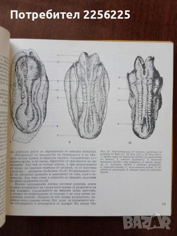 От яйцето до възрастния организъм, снимка 3 - Специализирана литература - 50762465