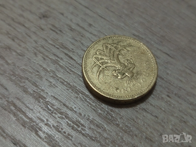 Монета 1990 Великобритания £1 pound (Welsh Leek) - Elizabeth II, снимка 2 - Нумизматика и бонистика - 52971018