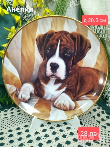 Колекционерски чинии Боксер, снимка 14 - Декорация за дома - 51883321