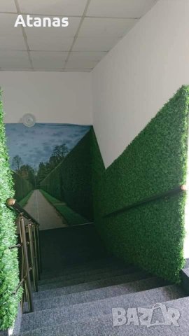 ЖИВ ПЛЕТ-Декоративна мрежа-ОГРАДА, снимка 5 - Други стоки за дома - 42404442