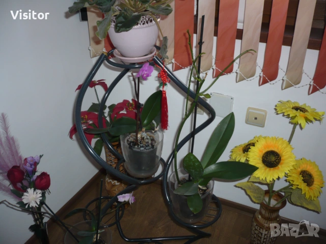 Panasonic Lumix DMC-FX10 , снимка 18 - Фотоапарати - 53669103