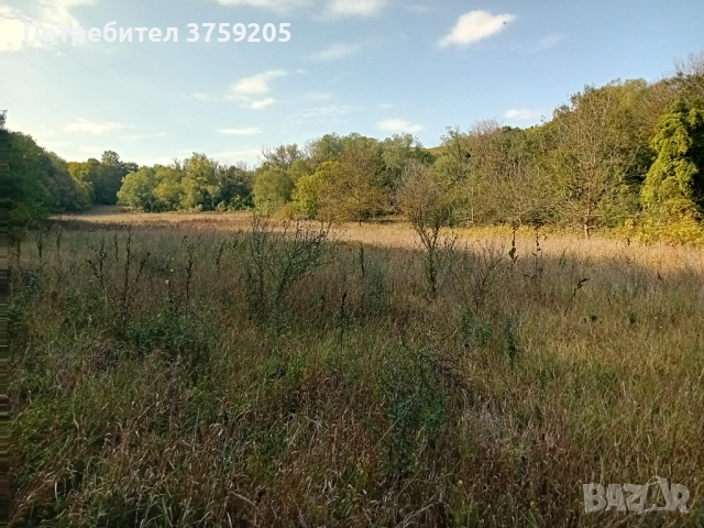 Продавам горска нива 15 дка., снимка 6 - Парцели - 52266192