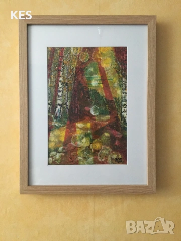 Витоша-Морените със слънчеви зайци