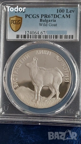 100 лева 1993 Дива коза - PR67 PCGS
