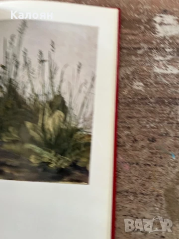 Книга за Албрехт Дюрер - акварели и рисунки на немски , снимка 14 - Специализирана литература - 51009336