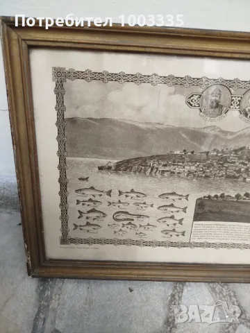 Стара снимка, фотоцинкография Охридъ, снимка 7 - Антикварни и старинни предмети - 50007890