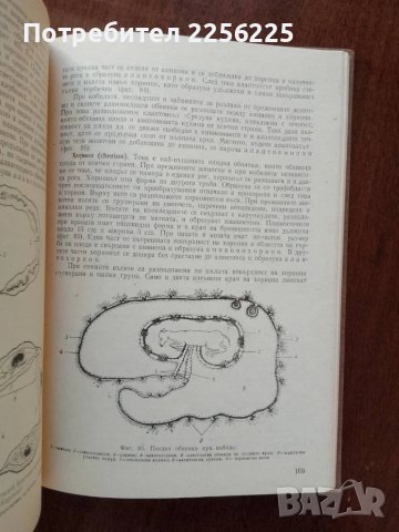 Биология на размножаването и изкуствено осеменяване на селскостопанските животни, снимка 2 - Специализирана литература - 50732139