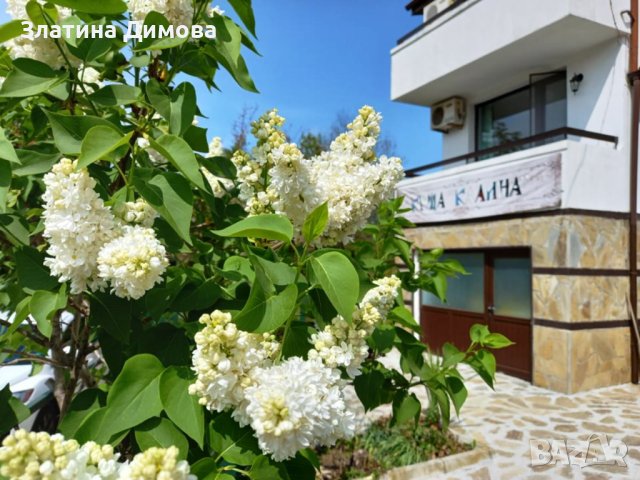 Почивка във ВИЛА "КАЛИНА", с.Велика