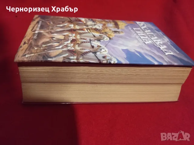 Бхагавад гита , снимка 3 - Езотерика - 49428198