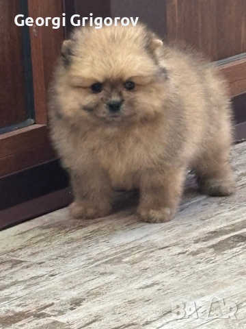 Момче померам