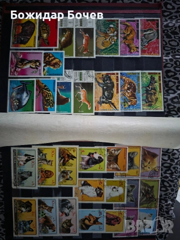 Пощенски марки , снимка 2 - Филателия - 53295308