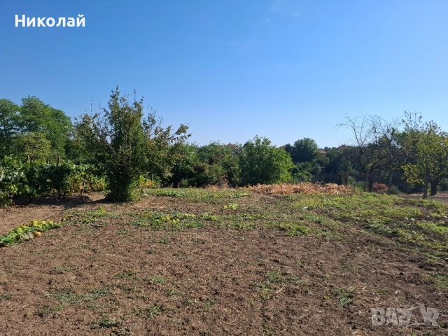 Имот в с. Калипетрово 1194 кв.м., снимка 7 - Парцели - 51746563