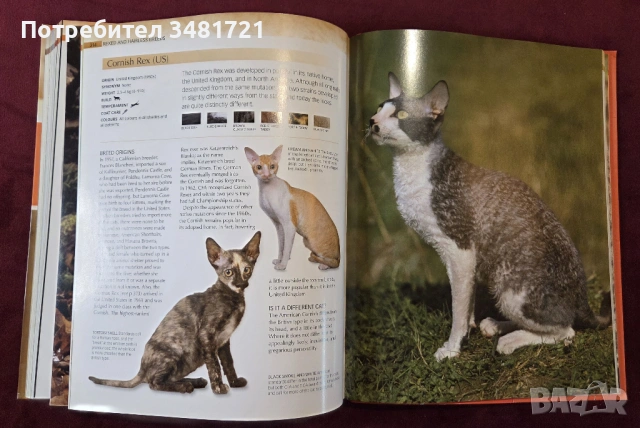 Енциклопедия на котките / Encyclopedia of Cats, снимка 12 - Енциклопедии, справочници - 53748636